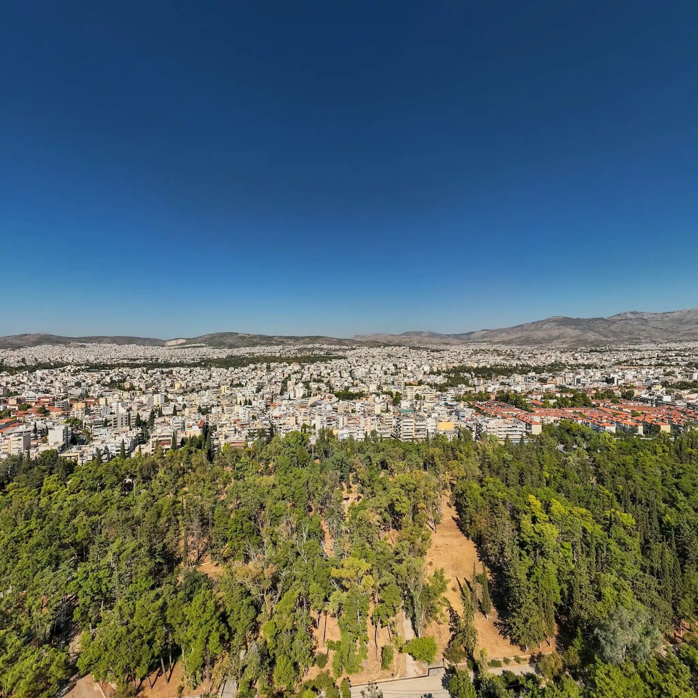 Atina'da orman parkı ve şehir